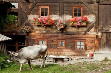Oberniederhof-Südtirol-Haupthaus-nachhaltiger-Urlaub-stylish-Bauernhof-Familie-Kinder-Familienurlaub-Ferien