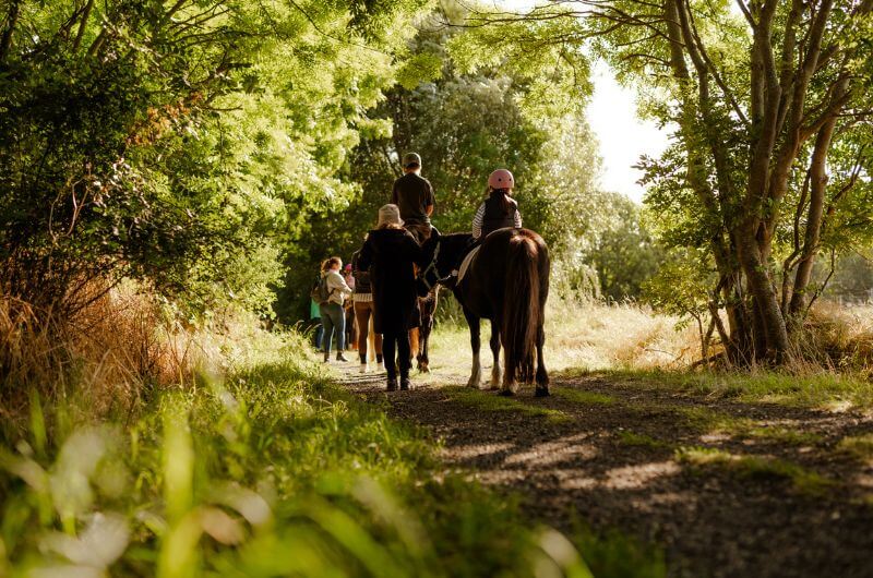 Ausritt-Ferienwohnung-Kinder-Bauernhof-Ostsee-Fehmarn-Ferienhof-Paulsen-Strand-Reiterhof-Urlaub-mit-Kind-Deutschland