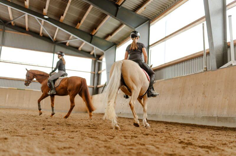 Reithalle-Ferienwohnung-Kinder-Bauernhof-Ostsee-Fehmarn-Ferienhof-Paulsen-Strand-Reiterhof-Urlaub-mit-Kind-Deutschland