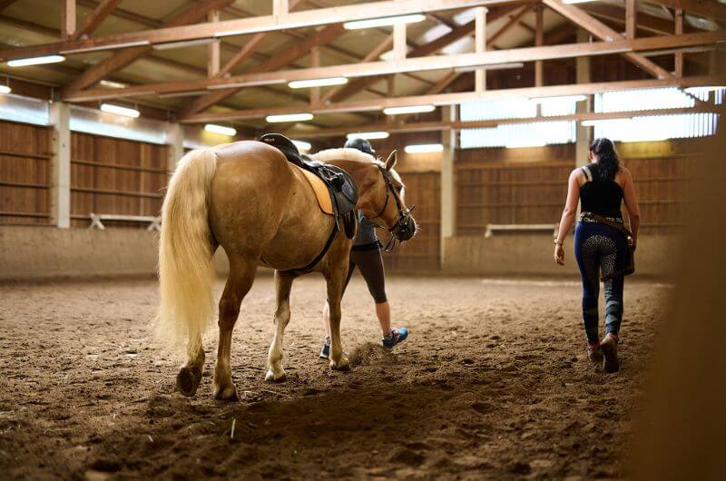 reithalle-reiturlaub-Chaletdorf-feriendorf-schwimmteich-kaernten-landgut-moserhof-urlaub-bauernhof-mit-kindern-familienurlaub-oesterreich