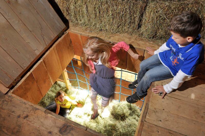 spielscheune-Chaletdorf-feriendorf-schwimmteich-kaernten-landgut-moserhof-urlaub-bauernhof-mit-kindern-familienurlaub-oesterreich