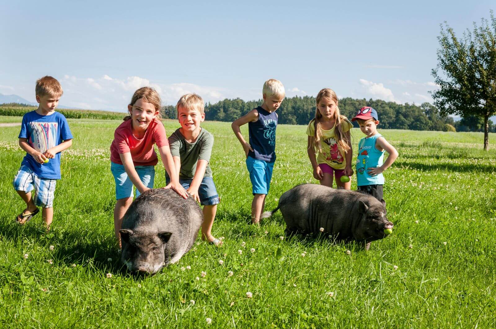 Schweine-Kinderbauernhof-Urlaub-mit-Kind-in-Bayern-deutschland-chiemsee-ferienwohnung-familienfreundlich-esterer-hof-familienurlaub